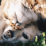 NUEVO CONVENIO “SOCIEDAD COMERCIAL PET’S DEL VALLE LTDA.”